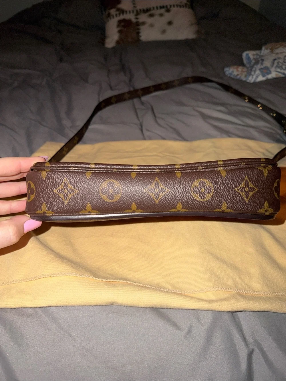 Louis Vuitton classic louis
